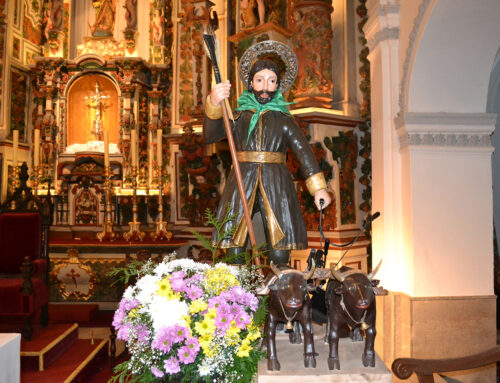 Imágenes Romería San Isidro Labrador Aceuchal 2025