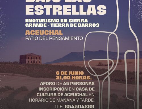 ENOTURISMO